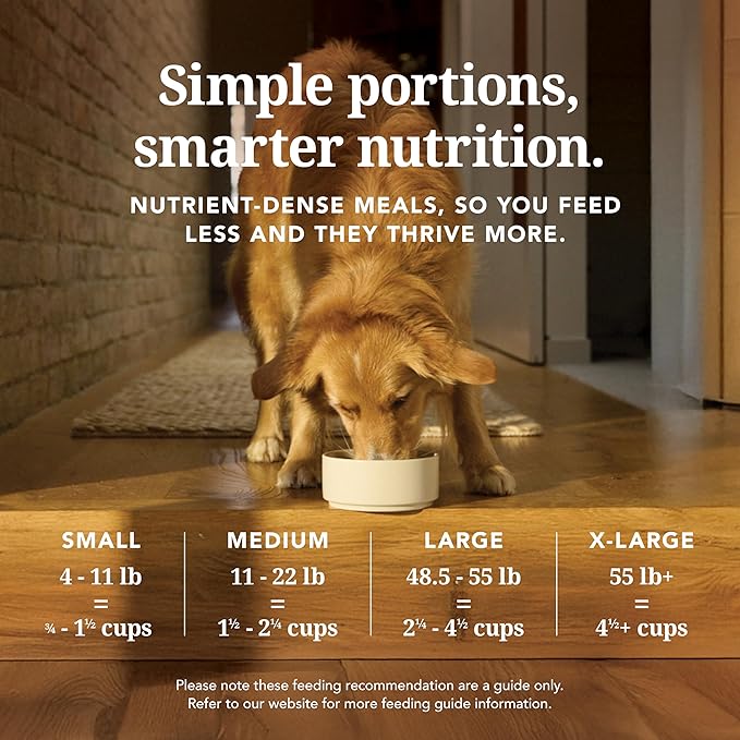 K9 Natural Lamb & King Salmon Freeze Dried Dog Food, High-Meat Natural Complete Meal or Meal Toppers for Dogs, Grass-Fed Lamb & King Salmon from New Zealand, Grain-Free, GMO-Free, 3.5oz