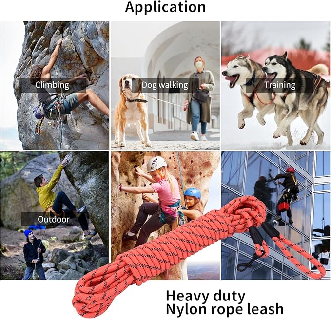 Long Dog Leash for Training 30Ft-Reflective Nylon Rope with Swivel Hook-Recall Agility Lead for Large Small Medium Dogs Outside Walking Hiking-Orange