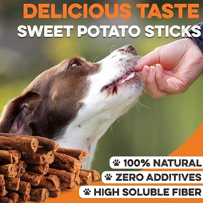BRUTUS & BARNABY USA Sweet Potato Dog Treats - Grain Free, Pumpkin Bacon Crunchy Sticks - Great Tasting, Promotes Positive Dog Gut Health with Natural Anti-Diarrhea Properties, No Preservatives Added