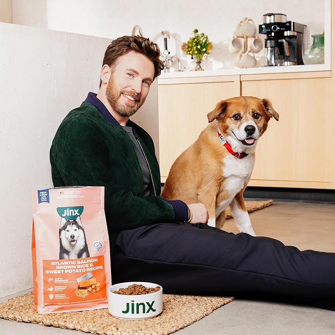 Jinx Premium Dog Food Dry for Large Breed - Adult Dog Food with Real Beef, Brown Rice & Sweet Potato Kibble with Antioxidants for Joint Health, Mobility & Immune Support - No Fillers - 30lb