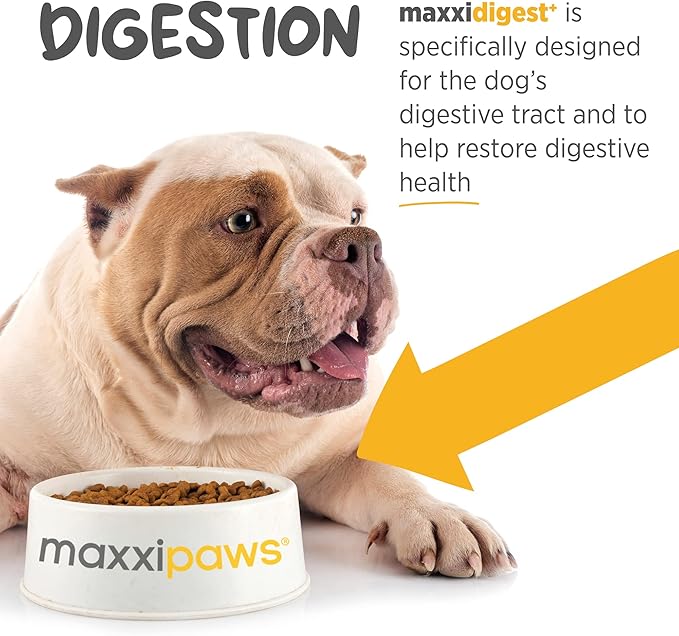 maxxipaws maxxidigest+ Prebiotic & Probiotic for Dogs 13.2oz | Dog Probiotic Powder with Advanced Digestive Enzymes for Gut Health & Immunity | Supports Digestion, Food Sensitivities & Itchy Skin