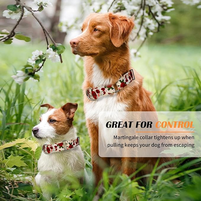 Hikiko Martingale Collar for Dogs with No Buckle Female Designer Floral Dog Collar Nylon No Pull Dog Collars for Small Dogs,Red Rose,S