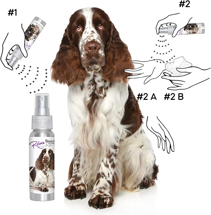 The Blissful Dog Springer Spaniel Relax Roll-ON Aromatherapy for Dogs - Anxiety Relief for Dogs