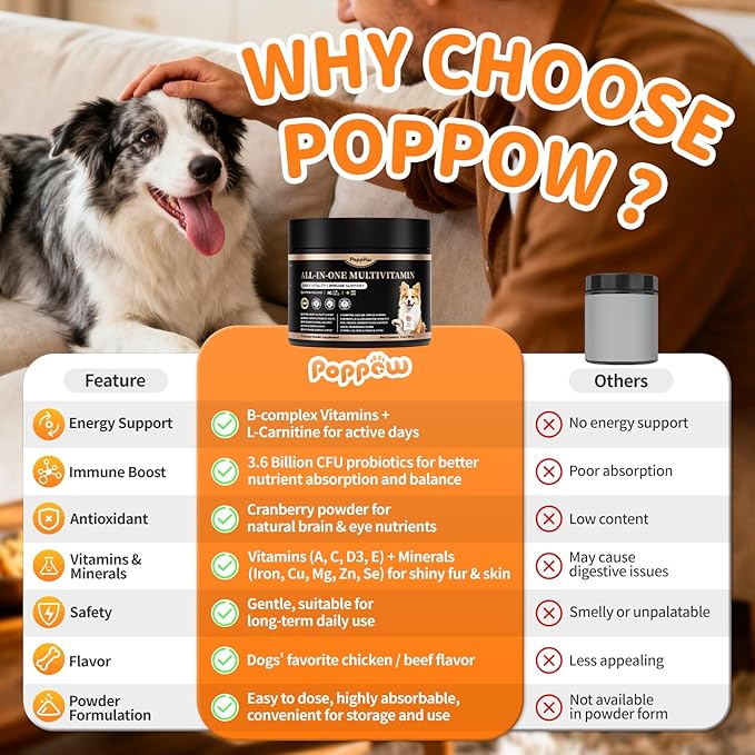 Dog Vitamins and Supplements for Daily Energy, Immune, Antioxidants, Gut, Skin & Coat, Dog Multivitamin Powder for Homemade Food with L-Carnitine, Taurine, Probiotics - Beef Flavor, 75 Scoops