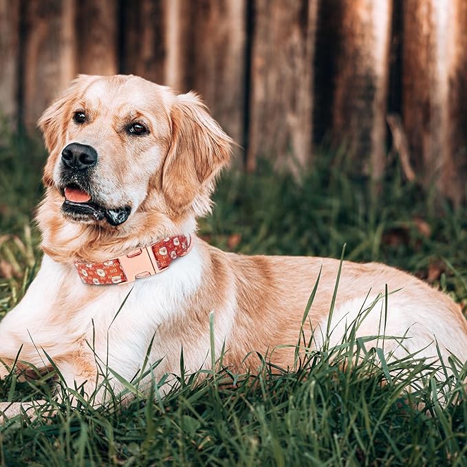 Christmas Dog Collar and Leash Set Girls Adjustable Puppy Collars with Christmas Bow Tie for Small Medium Large Female Dogs, Red Santa Claus, XS