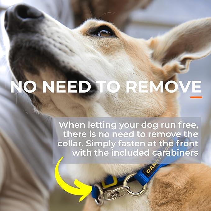 Canny Collar No-Pull Dog Head Collar | Train Your Dog to Stop Pulling & Walk On a Loose Leash | Gentle, Safe, Comfortable Training Aid | Medium Dogs | Blue, Size 4
