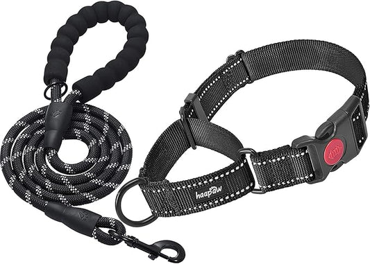 haapaw Martingale Dog Collar with Quick Release Buckle Reflective Dog Training Collars for Small Medium Large Dogs