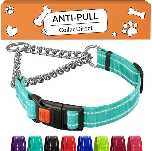CollarDirect Martingale Dog Collar with Stainless Steel Chain and Quick Release Buckle - Reflective Collar for Large, Medium, Small Dogs - Mint Green, Small (Neck Size 12"-15")