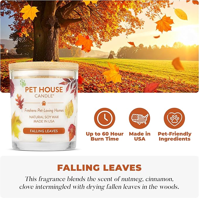 One Fur All Pet Friendly Candle 2 Pack - Plant-Based, Soy Candles, Clean Burning, Long Lasting Pet Air Freshener for Home, 2 Pack, Falling Leaves and Autumn Harvest