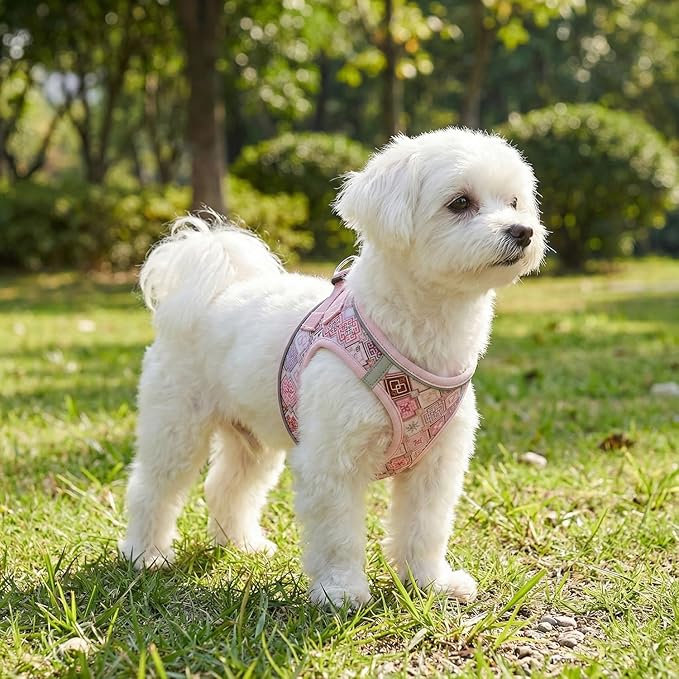 Step in Dog Harness and Leash Set, Reflective Adjustable No Pull Dog Harness for Extra-Small/Small Dogs Puppy and Cats, Soft Padded Mesh Vest Harnesses for Girl and Boy Pets(Pink Grid,XS)