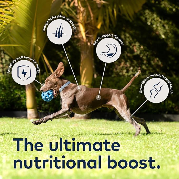 ZIWI Peak Canned Wet Dog Food – All Natural, High Protein, Grain Free, Limited Ingredient, with Superfoods (Chicken, Case of 12, 6oz Cans)