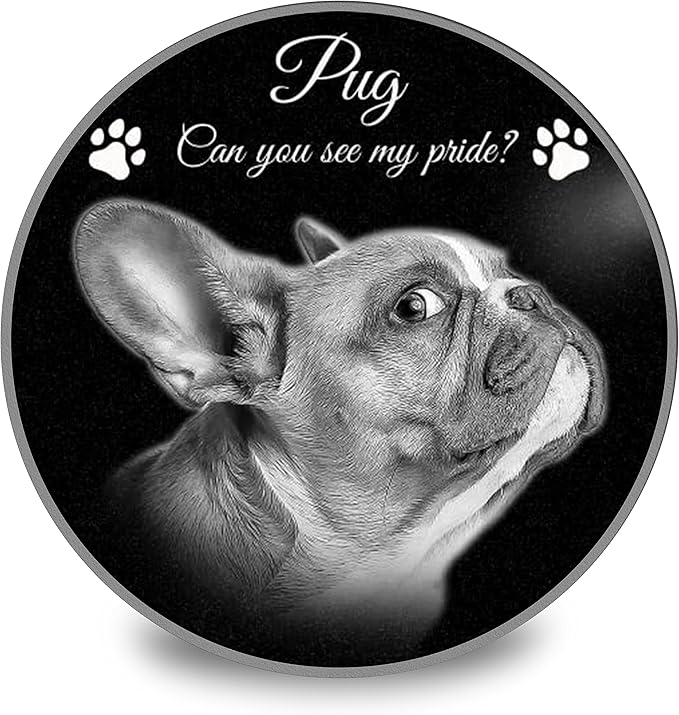 ADFSTONE Pet Memorial Stones Personalized Dog Remembrance Gifts, Customized Cat Picture Grieving Plaque, DIY Gravestone, Custom Sympathy Photo Gift, Animal Grave Markers