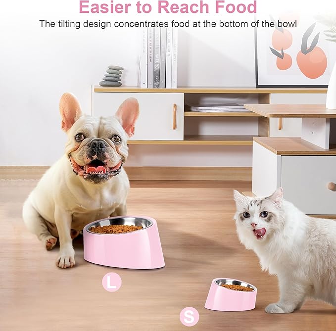 Tilted Dog Bowl Non-Slip & Non-Spill Pet Feeder with Elevated Detachable Melamine Stand, Easy to Get Food Dog Dish, L/300ml Pink