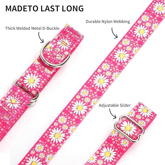 Martingale Collar for Medium Dogs, Girl Dog Collar with Daisy Flowers, Heavy Duty No Pull Dog Collar Floral Design Dog Training Collar, Perfect for Training, Walking, Hunting (Black, L)