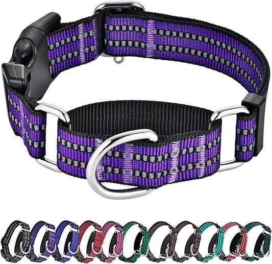 Hikiko Martingale Collar for Dogs Reflective Nylon Dog Collar with Quick Release Buckle Adjustable Training No Slip Dog Collar (Small, Purple)