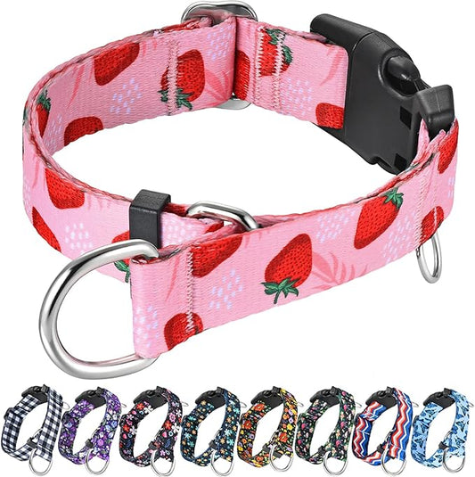 Martingale Collar for Dogs with Buckle Nylon Limited Slip No Pull Training Dog Collars (Pink Strawberry, XSmall)