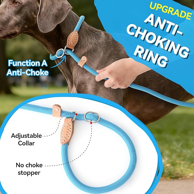 Mile High Life Slip Lead Dog Leash - 4FT, 5FT, 6FT Heavy Duty Rope Leash for No Pull Training, Durable Braided Dog Lead with Leather Stopper & Tip for Medium Large Dogs