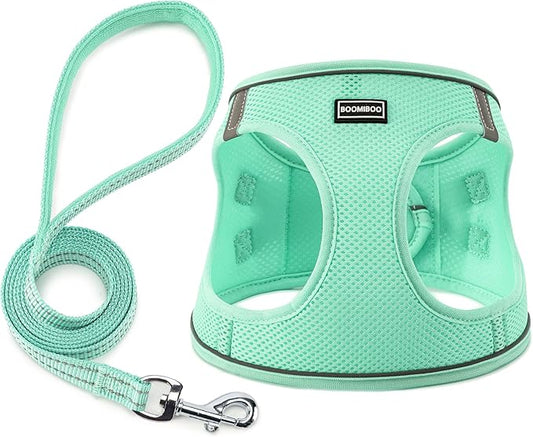 Dog Harness with Leash Set, No Pull Adjustable Reflective Step-in Puppy Pet Vest Harnesses for Small Medium Large Dogs and Cats,Green XL