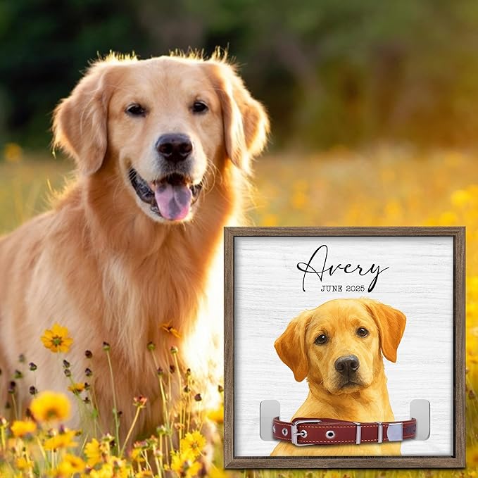 Dog Collar Memorial Frame with Custom Pet Portrait – Minimalist Pet Loss Picture Frame with Name and Date – Personalized Dog Memorial Gift with Collar Holder