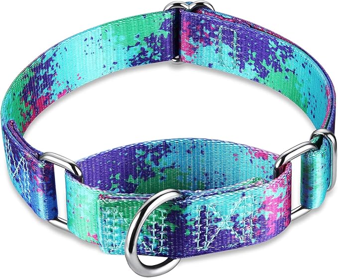 Martingale Collar for Dogs Escape-Proof No-Pull, Durable Polyester Training Collar for Dogs, No-Buckle (Ecological Oasis, Large)