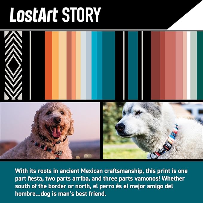 Wolfgang Heavy Duty Martingale Dog Collar with Quick Release Nylon Buckle for Walking & Training, LostArt Print, Large