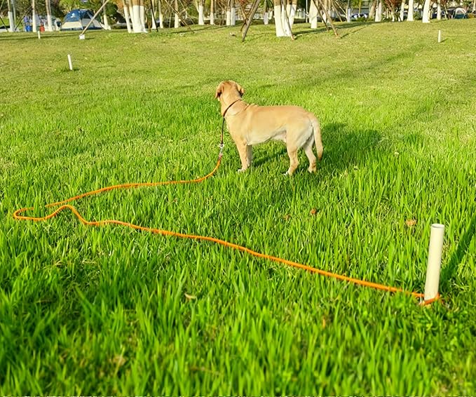 35FT Tie Out Rope Dog Leash, Long Tether 8-10-13-15-20-25-30-40-50-65 FT Heavy Duty Nylon Check Cord for Medium Large Dogs Outdoor Playing Camping Backyard (Black, 3/8")