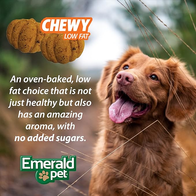 Emerald Pet Pumpkin Harvest Dog Treats - Low-Fat Chewy Natural Dog Treats with Pumpkin for Digestive Health - Meat Free, Poultry Free, Wheat Free - Blueberry, 6 oz