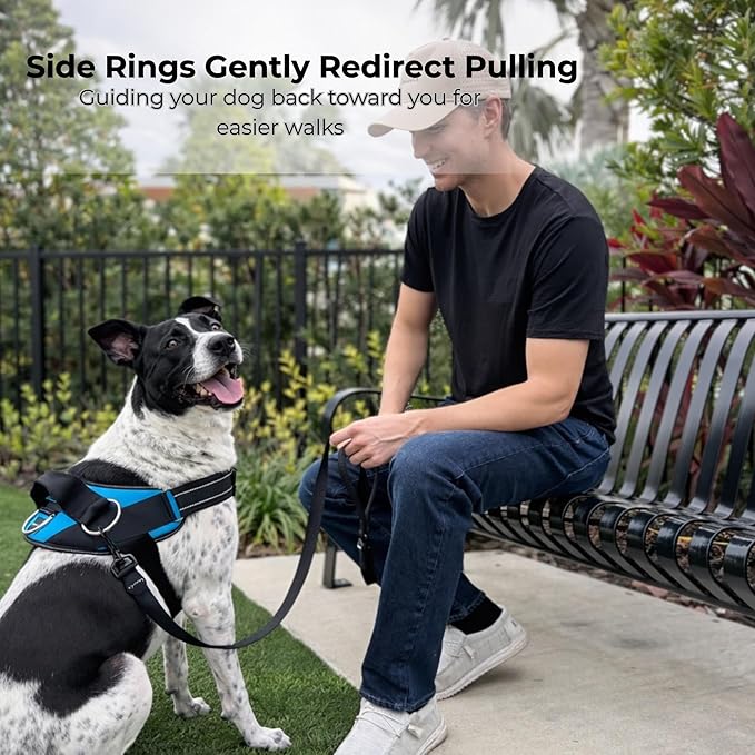 ShawnCo Essential Dog Harness, No-Pull Pet Vest with 3 Leash Clips, No Choke, Reflective, Adjustable and Padded, for Easy Walking and Training for Small, Medium and Large Dogs (Rose Gold, XL)