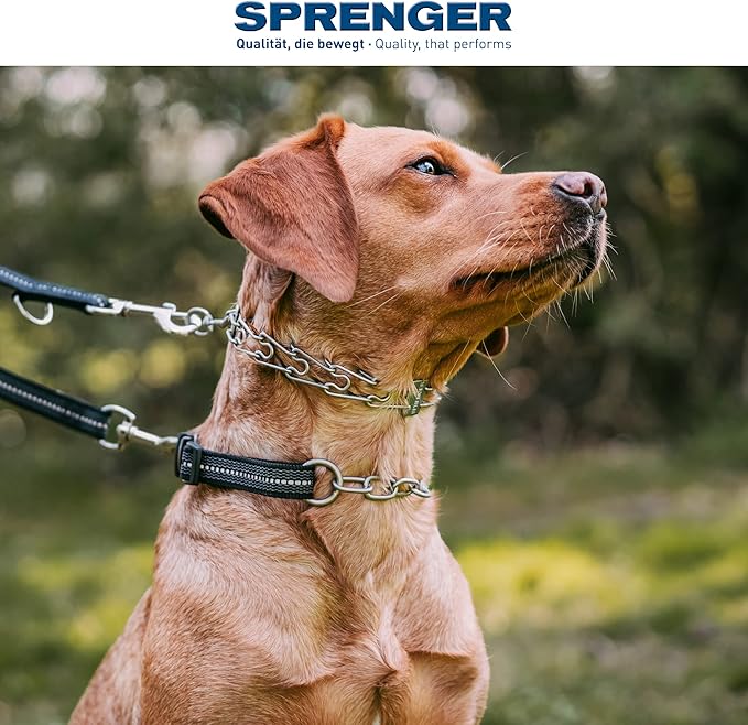 Herm Sprenger Dog Training Prong Collar with Swivel D-Ring, 3 Extra Links, 30 Comfort Tips for Small Medium Large Dogs Stainless Steel No-Pull Collar Made in Germany (Medium-Large)