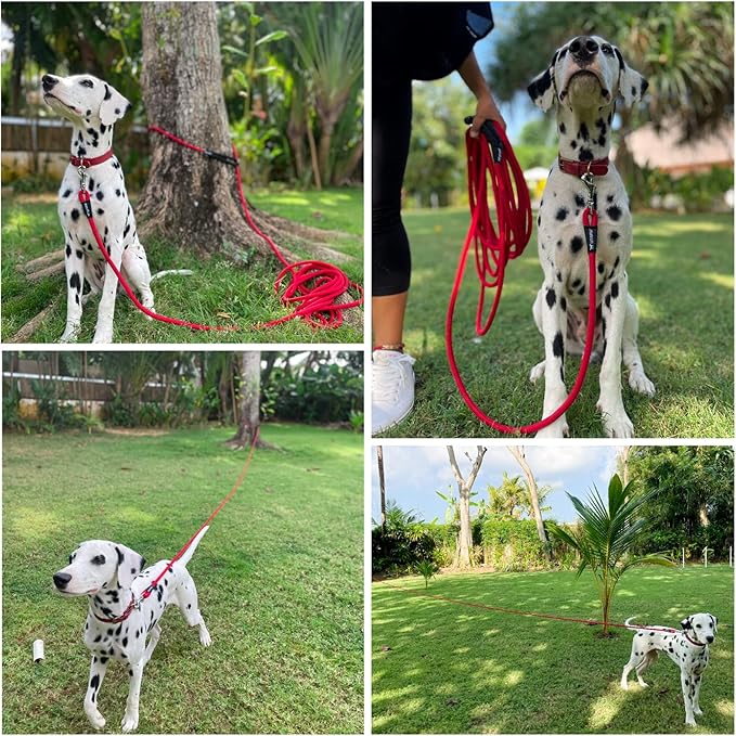 Tuff Pupper Heavy Duty 30 Foot Long Rope Leash for Dogs | Dog Recall Training Lead | High Visibility Strong Climbing Rope Leash | Hand or Waist Worn | Stainless Steel 360° Clips for Tangle Free Use