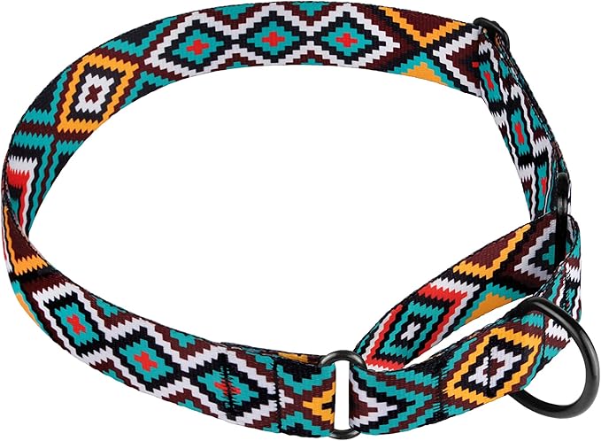 CollarDirect Aztec Martingale Collars for Dogs Heavy Duty Tribal Pattern Safety Nylon Training Collar Large Medium Small (Ethnic Teal, M, Neck Size 12"-17")