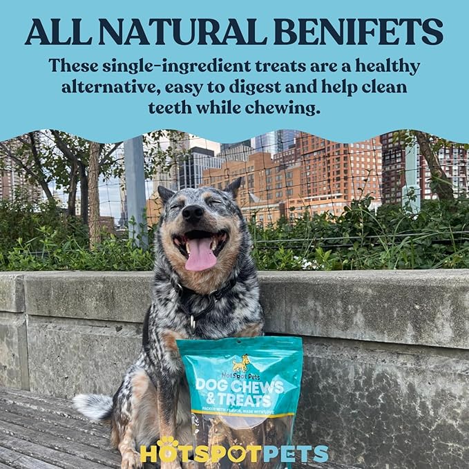 hotspot pets Bully Stick Rings for Dogs - (20 Pack) 4" Premium All Natural Long Lasting Twisted Beef Pizzle Dog Chew Treats, Low Odor - Grain Free Fully Digestible Rawhide Alternative - Thick Circles