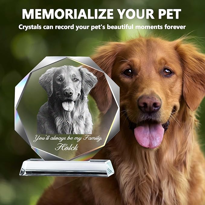 Pet Crystal Picture Frame, Dog Memorial Gifts For Loss Of Dog, Cat Pet Memorial Gifts, Personalized Crystal Photo Loss Gift, Cat Passing Away Sympathy Bereavement Gift