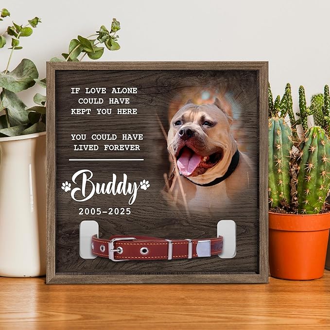 Dog Memorial Frame with Collar Holder – If Love Alone Could Have Kept You Here Quote – Personalized Dog Loss Picture Frame with Name – Dark Wood Pet Memorial Gift with Collar Holder