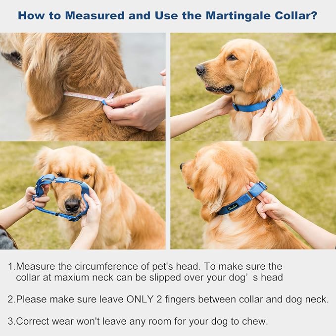 Martingale Dog Collar, No-Buckle Escape-Proof Design, Heavy-Duty Nylon and Welded D-Ring, Adjustable Training Collar for Medium Large Dogs (Royal Blue, L)