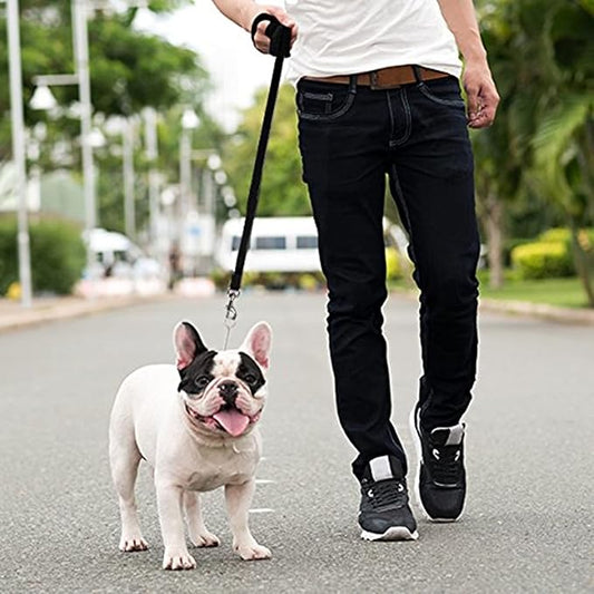 Downtown Pet Supply - Long Dog Leash - Dog Training Leash - Recall & Obedience Dog Training Tools - Nylon - 150 ft - Black Dog Leash