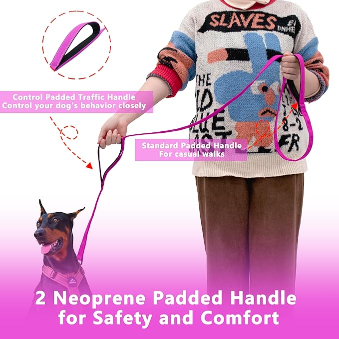 Dog Leash 6ft Long, Double Handle Dog Leash for Safety Control Training, Heavy Duty Dog Leads with Traffic Padded Handles, Reflective Leashes for Small Medium Large Dogs(6ft, Rosered)