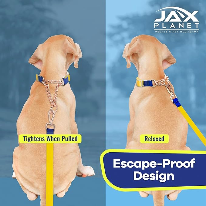 Jelly Waterproof Martingale Dog Collar, No Pull Nylon Collar with Alloy Metal Buckle & D-Ring for Outdoor Training and Walking, Anti Pull, Escape Free, One Time Adjustment - Yellow & Blue, L