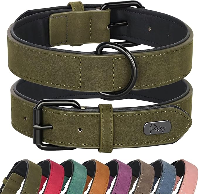 Didog Soft Padded PU Leather Dog Collar, Breathable and Adjustable Dog Collars for Small Dogs, Comfortable for Daily Walk, Dark Green, M Fit Neck 11-14"(10-20 lbs)