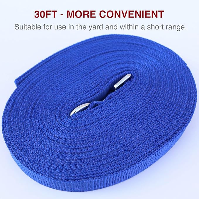 Dog Leash Puppy Obedience Recall Training Agility Lead 30ft, Great for Play, Camping, or Backyard