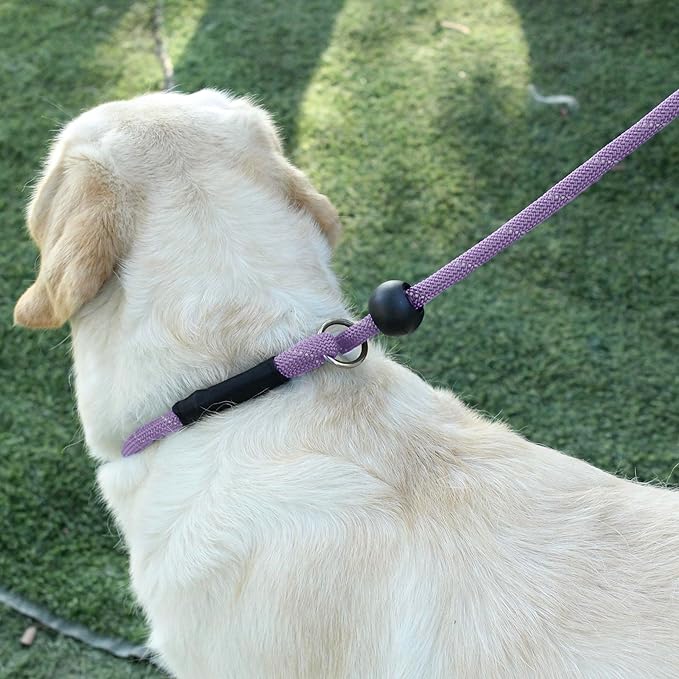 Slip Lead Dog Leash Reflective with Stopper Loop Rope Training No Pull for Medium Large Dogs 4ft Lavender