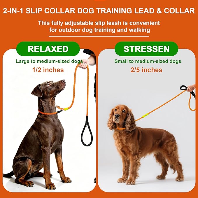 BeauGo|Dog Leash Slip Lead,No Pull Training Leash,2-in-1 Dog Lead & Collar,Professional Trainer Rope,Sturdy and Durable Suitable for All Dogs (6ft Green) ﻿