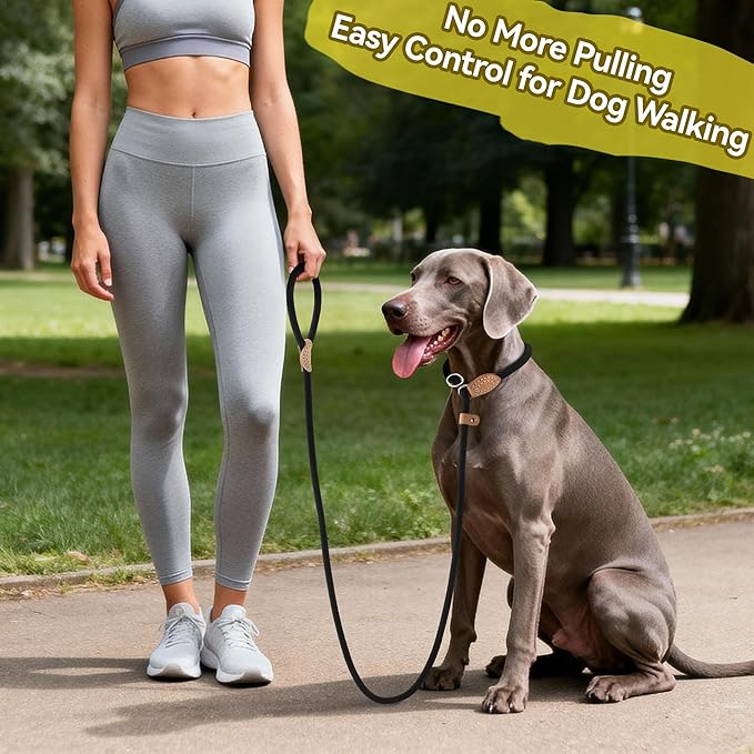 Mile High Life Slip Lead Dog Leash - 4FT, 5FT, 6FT Heavy Duty Rope Leash for No Pull Training, Durable Braided Dog Lead with Leather Stopper & Tip for Medium Large Dogs