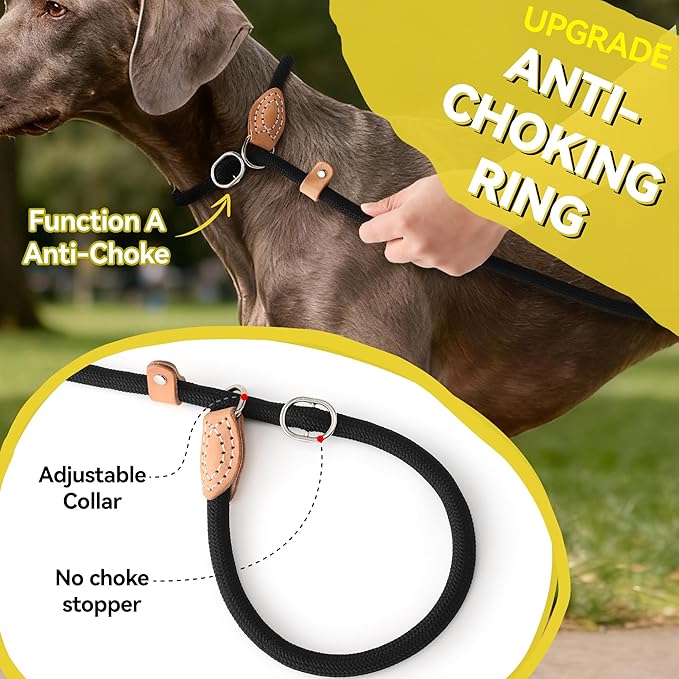 Mile High Life Slip Lead Dog Leash - 4FT, 5FT, 6FT Heavy Duty Rope Leash for No Pull Training, Durable Braided Dog Lead with Leather Stopper & Tip for Medium Large Dogs