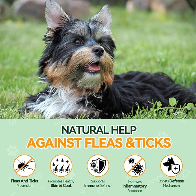 Dual Flea Chews Bundle for Dogs - 200 Each - Natural Flea & Tick Prevention with Skin & Coat Support + Daily Flea Chews for All Breeds - Chicken Flavor Combo