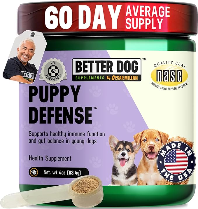 Better Dog Supplements Puppy Defense by Cesar Millan – Natural Immune Support Powder for Young Dogs – Immunity, Gut Balance, Digestive Health & Early Wellness – 4oz, (60-Day Supply)