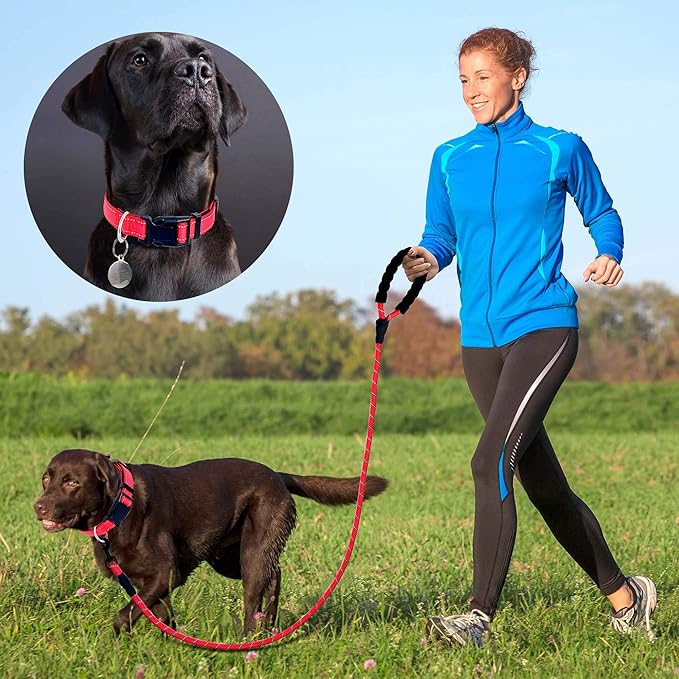 Reflective Dog Collar Padded with Soft Neoprene Breathable Adjustable Nylon Dog Collars for Small Medium Large Dogs (X-Small (Pack of 1), Red Collar+Leash)