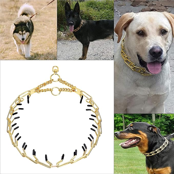 Stainless Steel Prong Pinch Collar for Dogs, Adjustable Training Collar with Quick Release Buckle for Small Medium Large Dogs (Gold, 26")