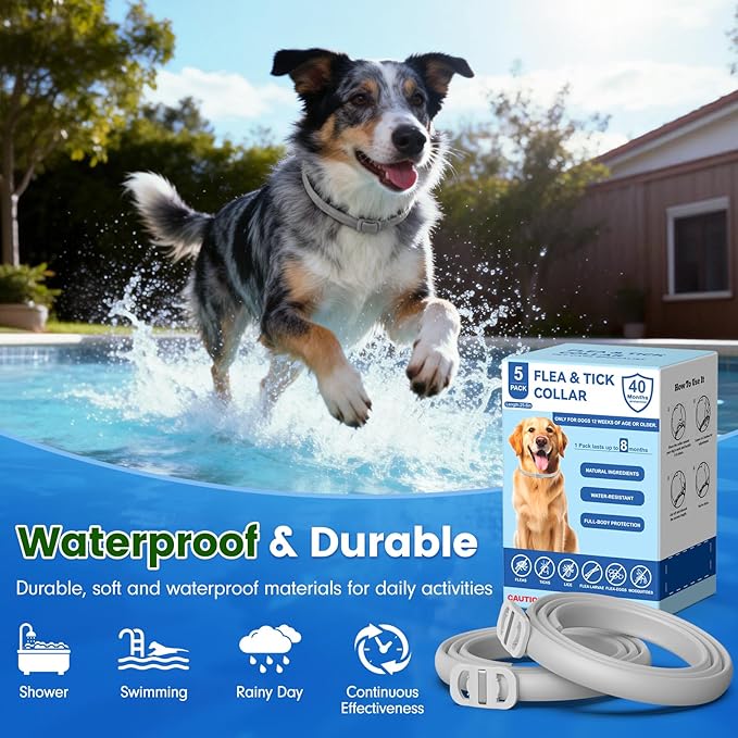 Flea and Tick Collar for Dogs, 5 Packs Flea Collar for Dogs with Natural Essential Oils, Waterproof & Adjustable Flea and Tick Prevention Collar for Small Medium Large Dogs & Puppies, Grey