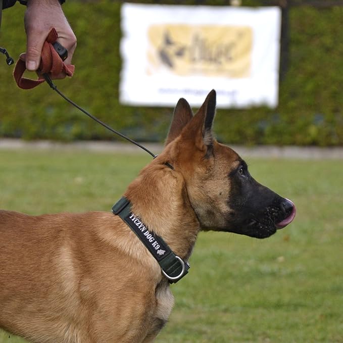 Dingo Gear Choke Collar for Dog Training Handmade of Cord with A Limiter, Waterproof Black S04059, (XL)